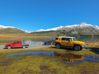 Molesworth Station